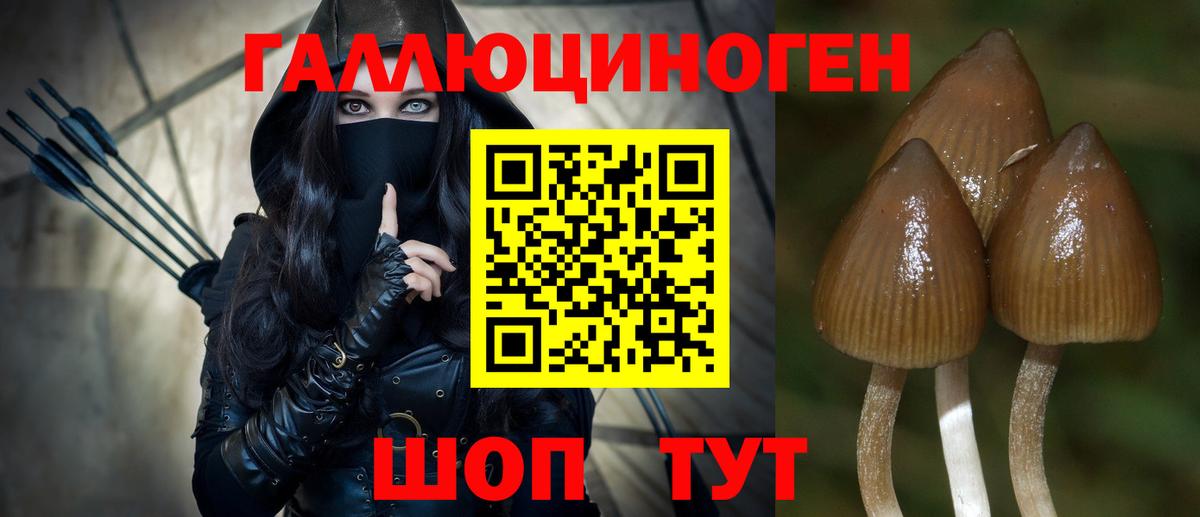 Галлюциногенные грибы Psilocybine cubensis Дзержинск