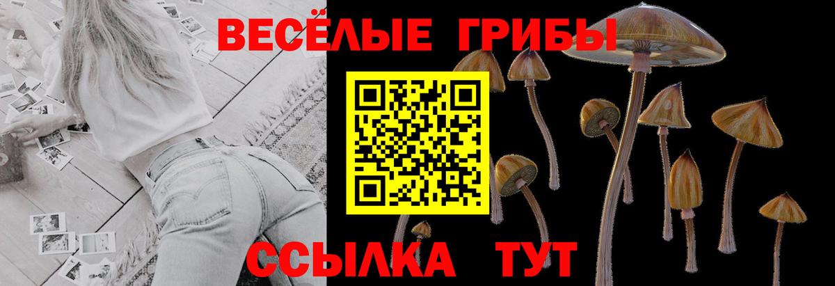 что такое   Галлюциногенные грибы мухоморы  Вход с VPN  Дзержинск 